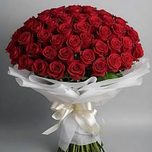 Букет 101 Красная роза Блэк Мэджик в Верхние Серги