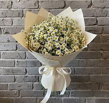 Букет цветов из:  Ромашки в Верхние Серги