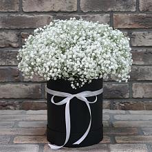 Цветочная композиция из Гипсофила в шляпной коробке в Верхние Серги