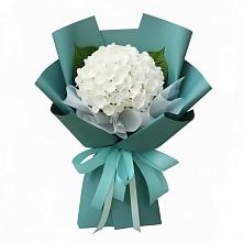 Букет цветов из:  Гортензия #REPLACE_PRED# Верхние Серги